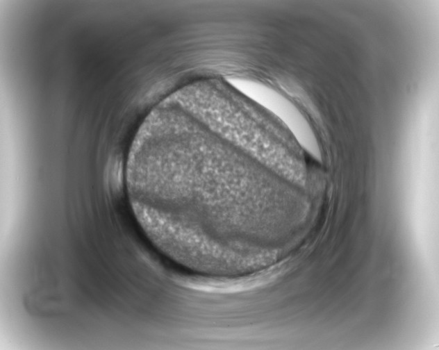 X0000084560021200703161712