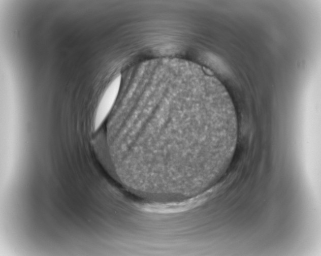 X0000084560025200703161712