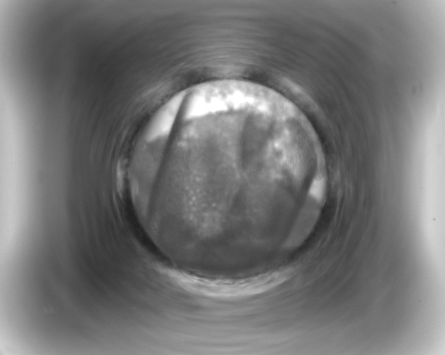 X0000084560026200703161712