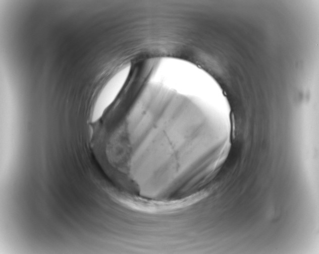 X0000084560027200703161712