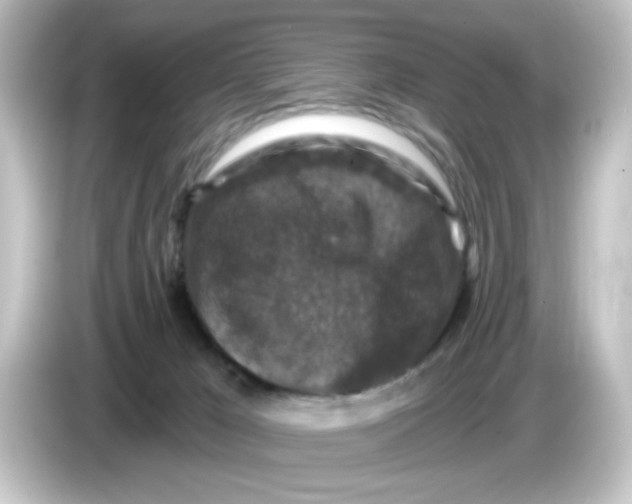 X0000084560029200703161712