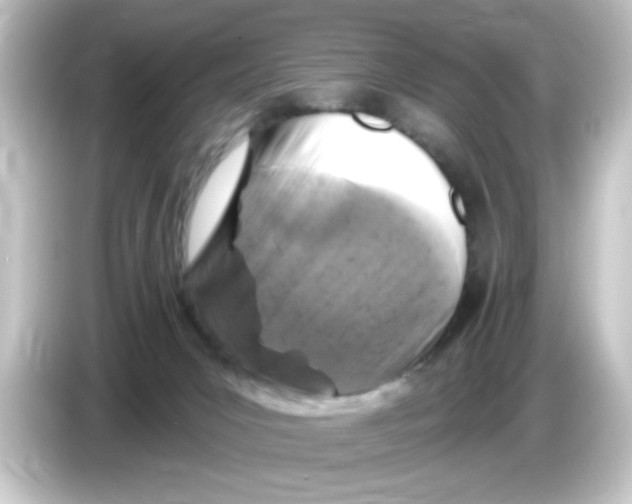 X0000084560031200703161712