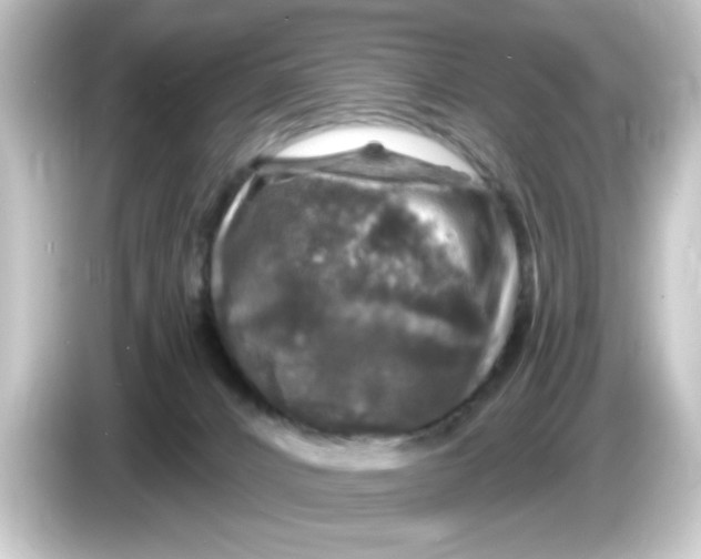 X0000084560032200703161712