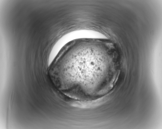 X0000084560033200703161712