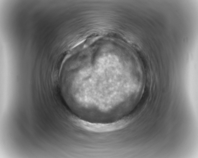 X0000084560034200703161712