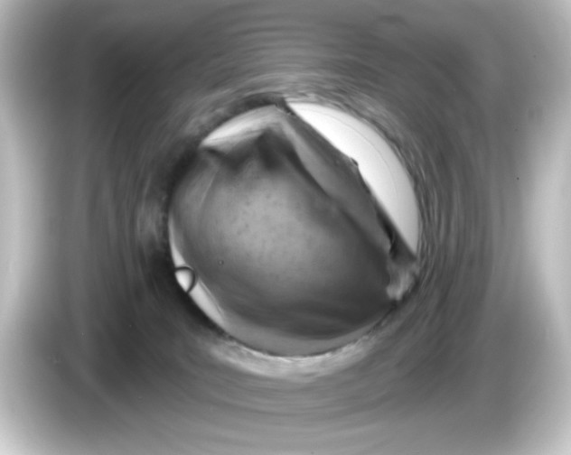 X0000084560035200703161712