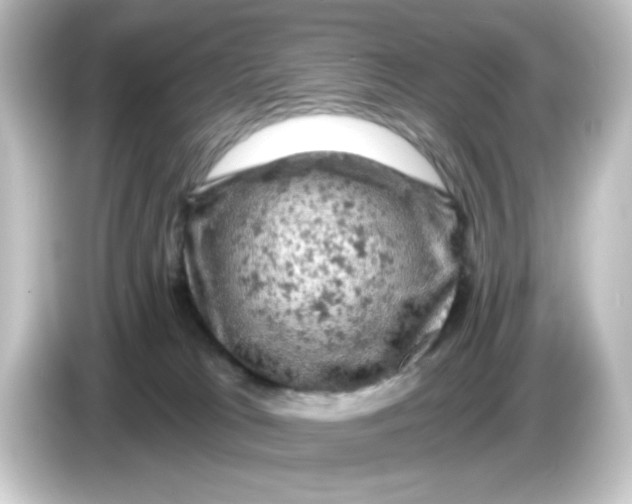 X0000084560037200703161712