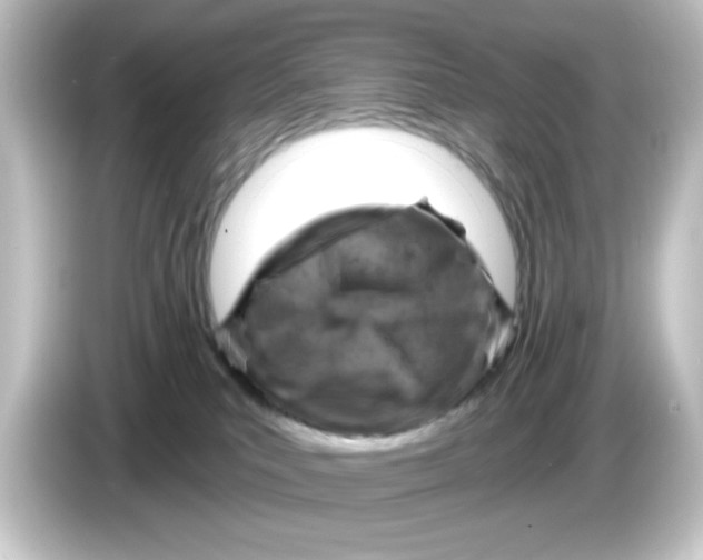 X0000084560039200703161712