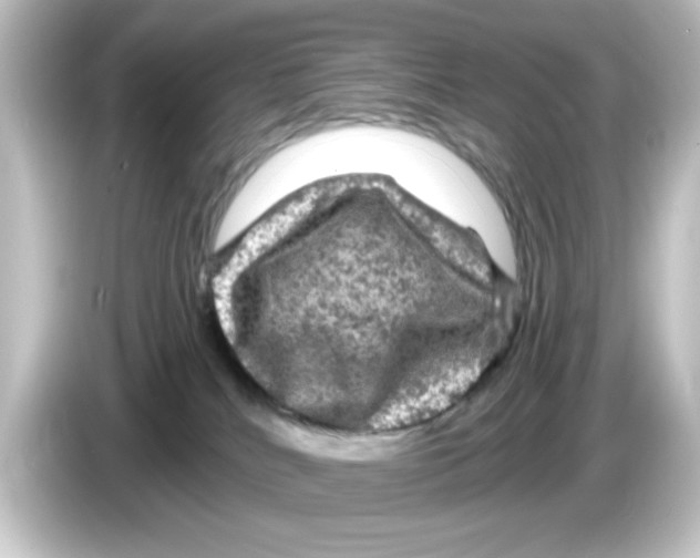 X0000084560040200703161712