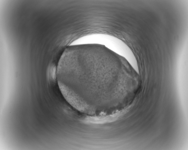 X0000084560041200703161712