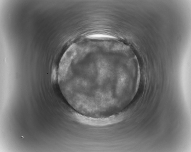 X0000084560042200703161712