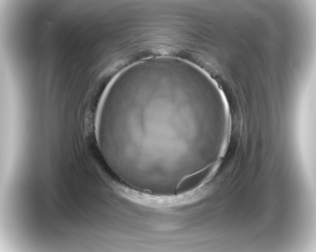 X0000084560043200703161712