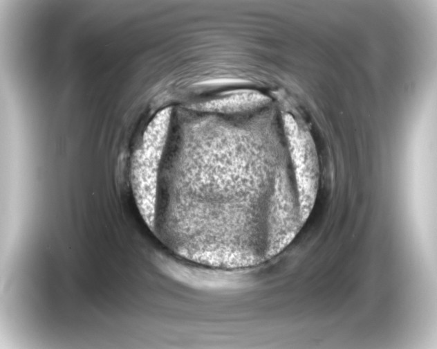 X0000084560044200703161712