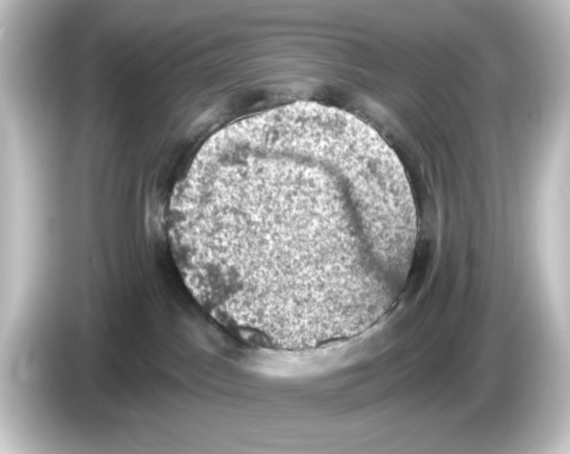 X0000084560045200703161712