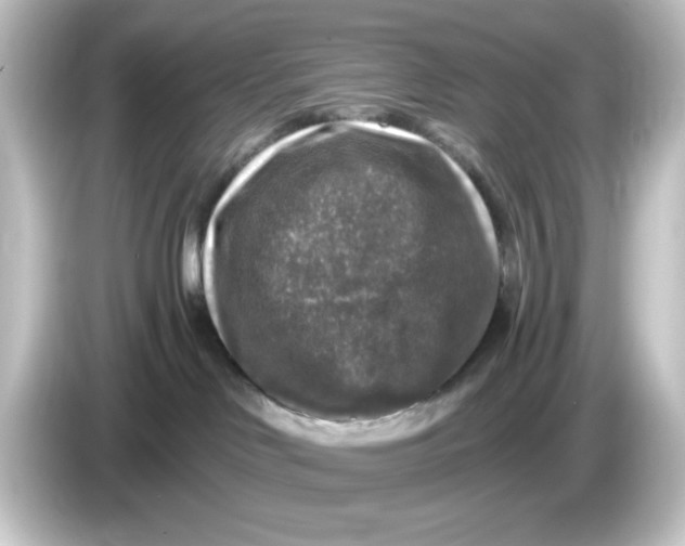 X0000084560046200703161712