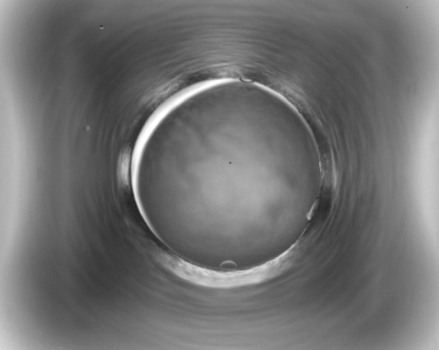 X0000084560047200703161712