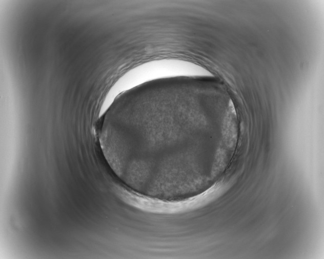 X0000084560048200703161712