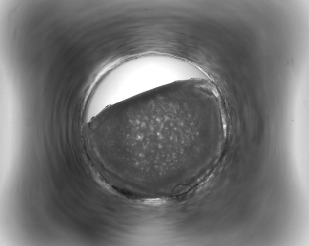 X0000084560050200703161711