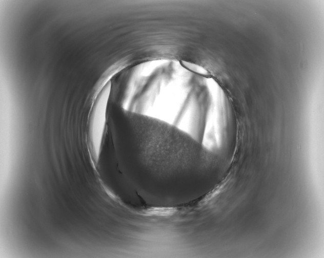 X0000084560051200703161711