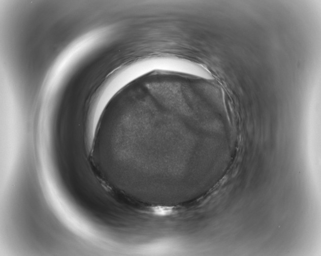 X0000084560052200703161711