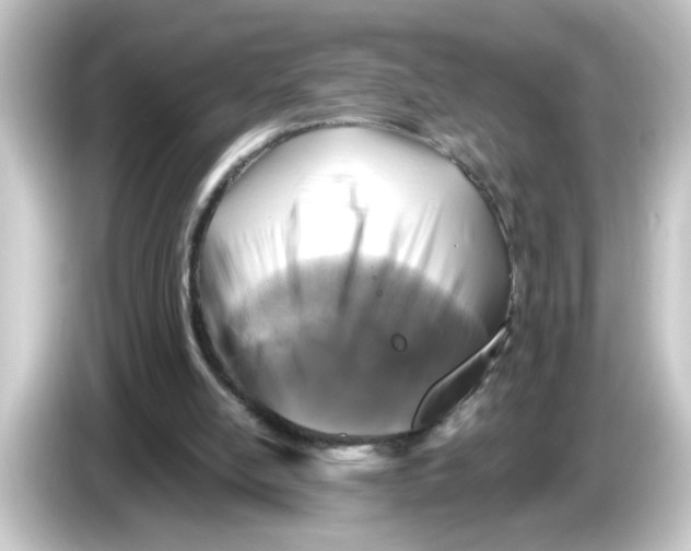 X0000084560054200703161711