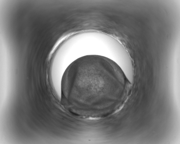 X0000084560056200703161711