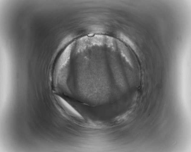 X0000084560059200703161711