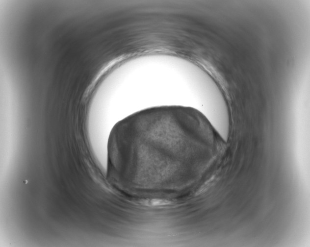 X0000084560060200703161711