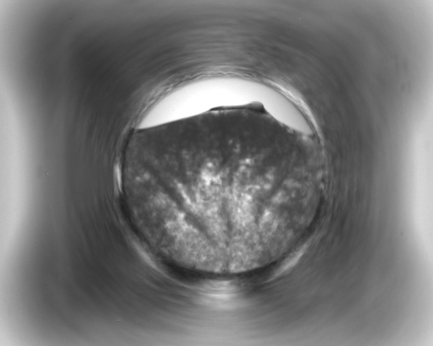 X0000084560061200703161711