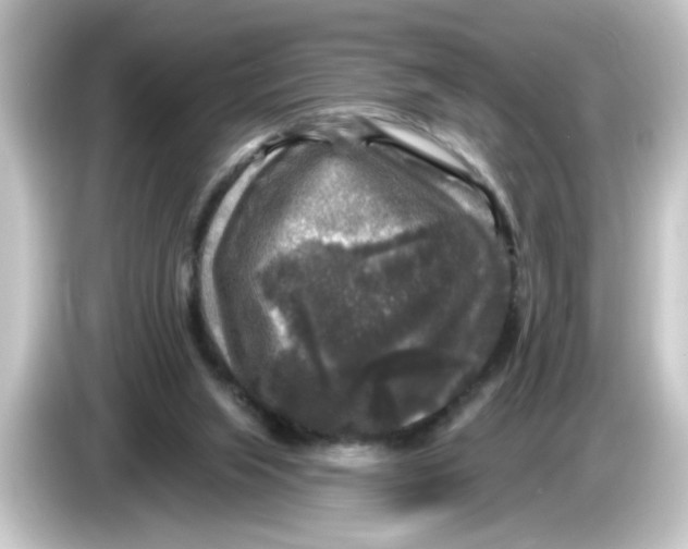 X0000084560063200703161712