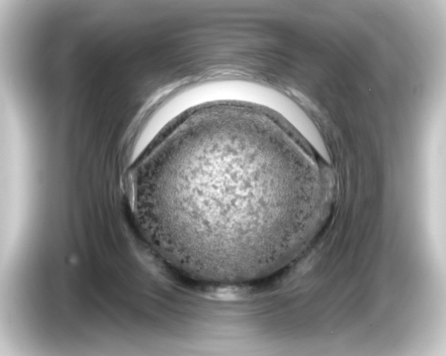 X0000084560064200703161712