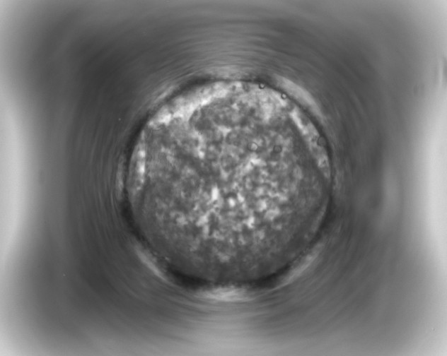 X0000084560065200703161712