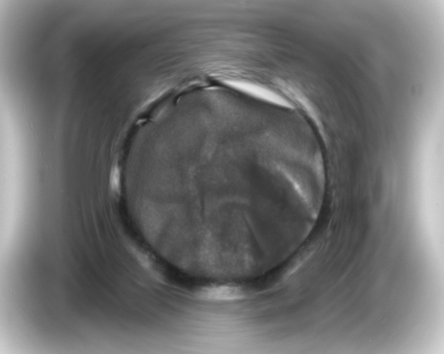 X0000084560067200703161712