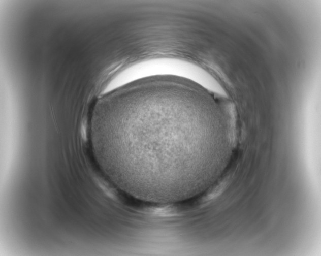 X0000084560068200703161712