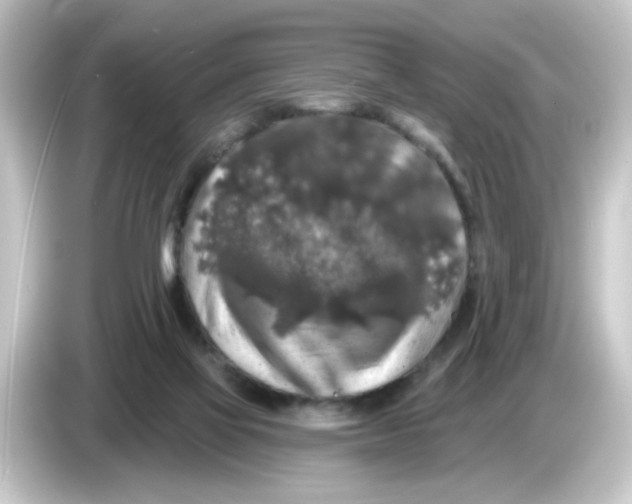 X0000084560069200703161712