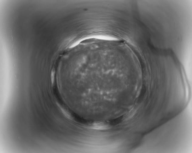 X0000084560070200703161712