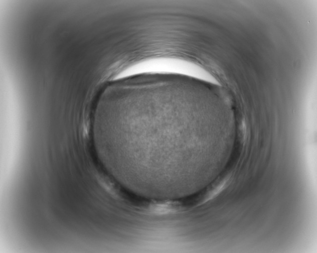 X0000084560072200703161712