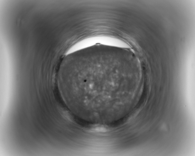 X0000084560073200703161712