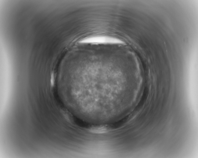 X0000084560075200703161712