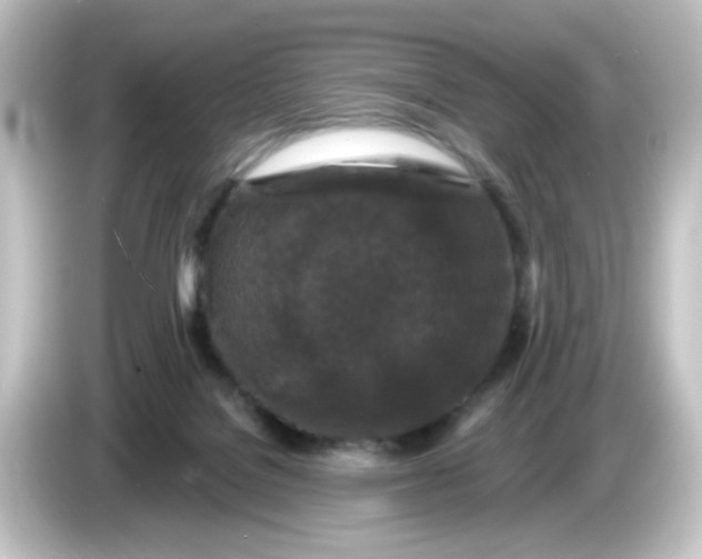 X0000084560076200703161712