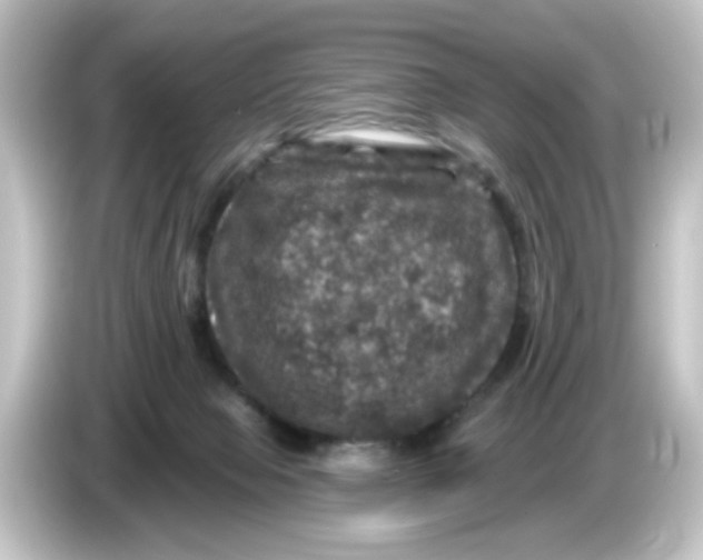 X0000084560077200703161712