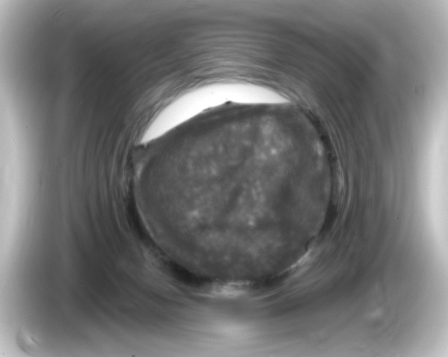 X0000084560078200703161712