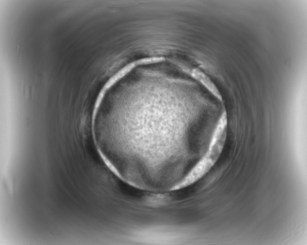 X0000084560079200703161712