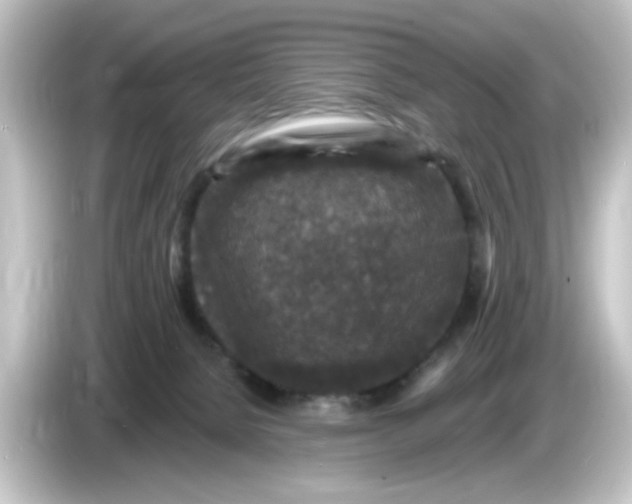 X0000084560080200703161712