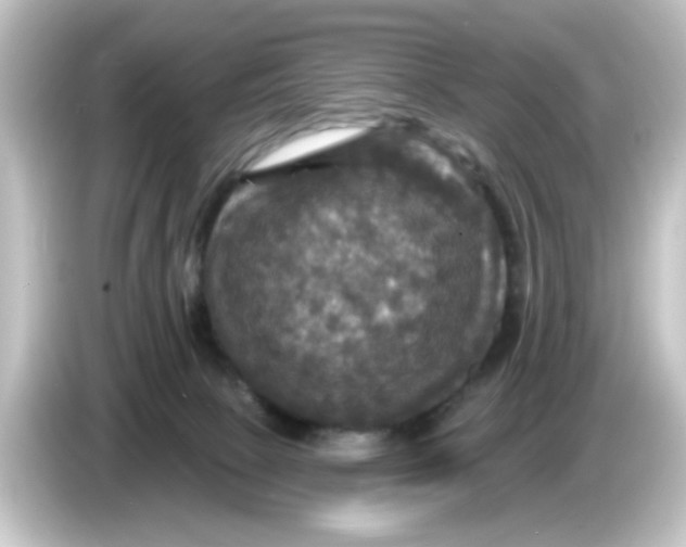 X0000084560081200703161712