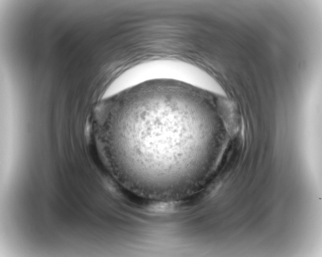 X0000084560084200703161712