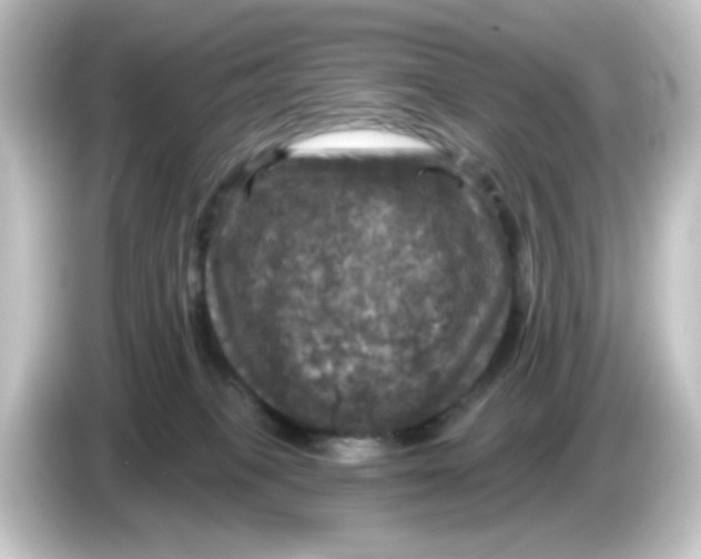 X0000084560085200703161712