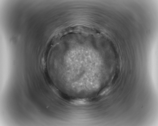 X0000084560086200703161712