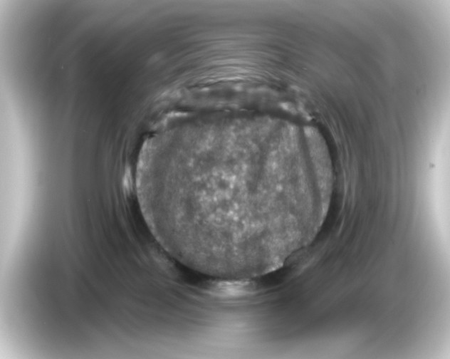 X0000084560089200703161712