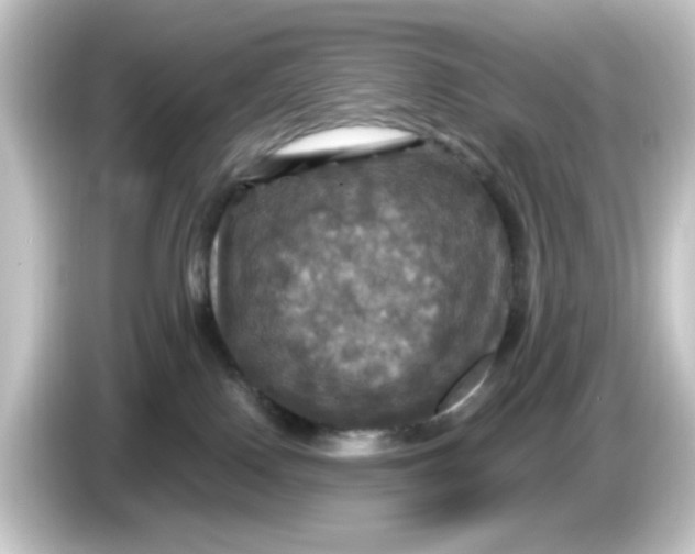 X0000084560090200703161712